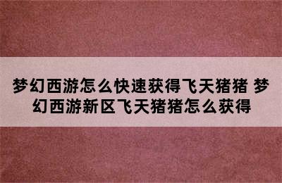 梦幻西游怎么快速获得飞天猪猪 梦幻西游新区飞天猪猪怎么获得